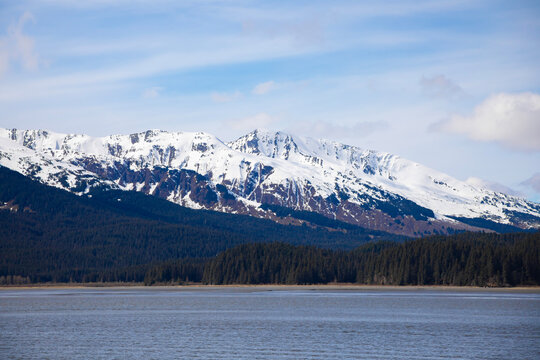 lake in front of forest and snow covered mountain