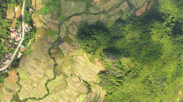 Aerial drone footage showing an expansive view of rice terraces and lush green hills in Cao Bang province, northern Vietnam.