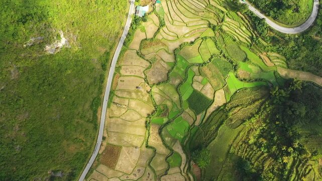 Drone footage showing a top-down view of lush green rice terraces and patchwork fields in Cao Bang province, northern Vietnam. No people are visible.