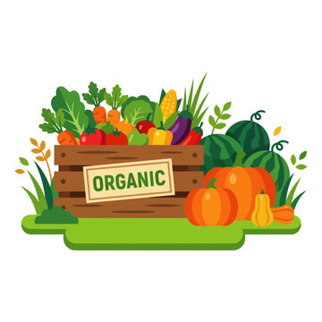 Fresh organic vegetables in wooden crate