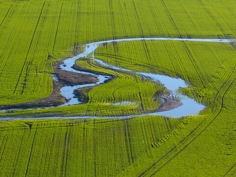 Streams of water running through a newly planted green field