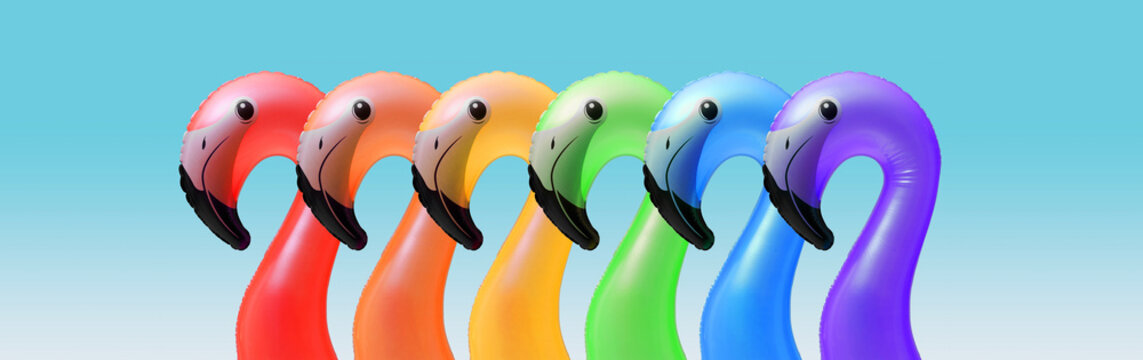  Spectrum of Colorful Inflatable Flamingo Floats Alignment