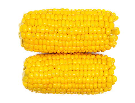 Boiled corncobs, corn maize isolated on white background, top view
