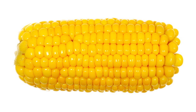 Boiled corncob, corn maize isolated on white background, top view