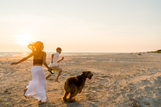 Children Runs on Beach With Dog During Sunset