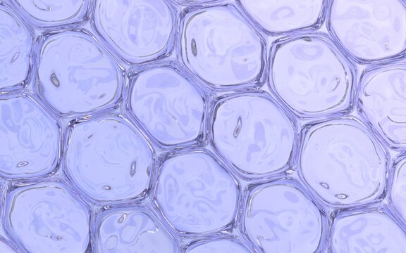 Close Up of Human Tissue Formed by Cells