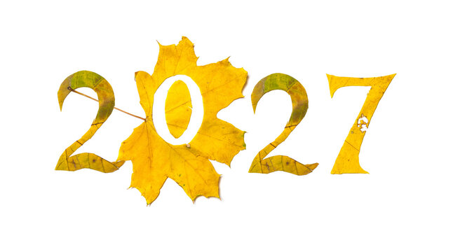 2027 numbers carved from yellow maple leaves