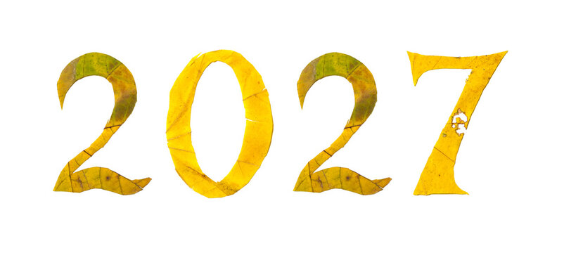 2027 numbers carved from yellow maple leaves