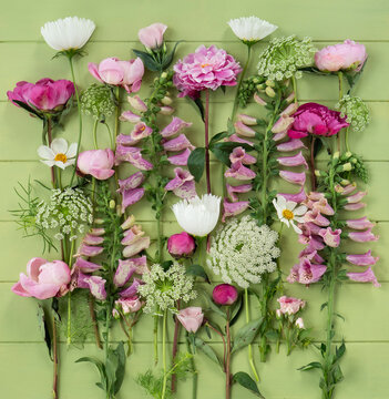 Midsummer composition with wild flowers