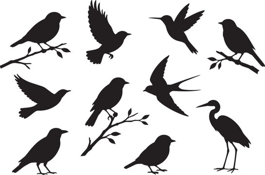bird silhouette icons set with flying and perched birds on branches vector illustration