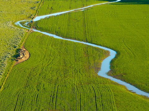 A stream of water running through a newly planted green field