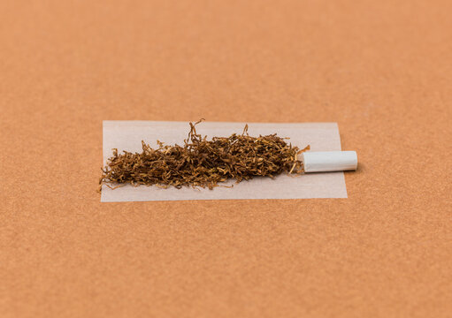 Loose Tobacco and Filter on Rolling Paper Prepared for Cigarette