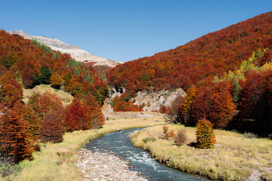 Autumn Valley Stream