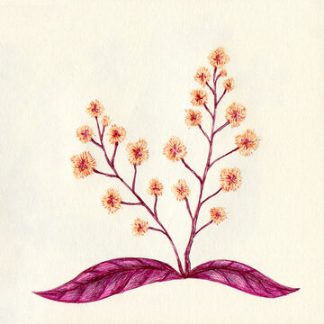 Lovely flowers art