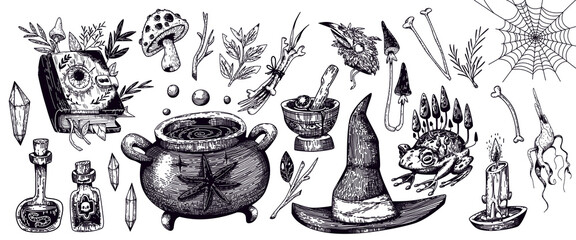 Fototapeta premium Witchcraft sketch icons set with magic cauldron, witch hat and spell book. Vector illustration of spooky Halloween items, potion bottles, mushrooms, apothecary plants, occult symbols, tattoo designs