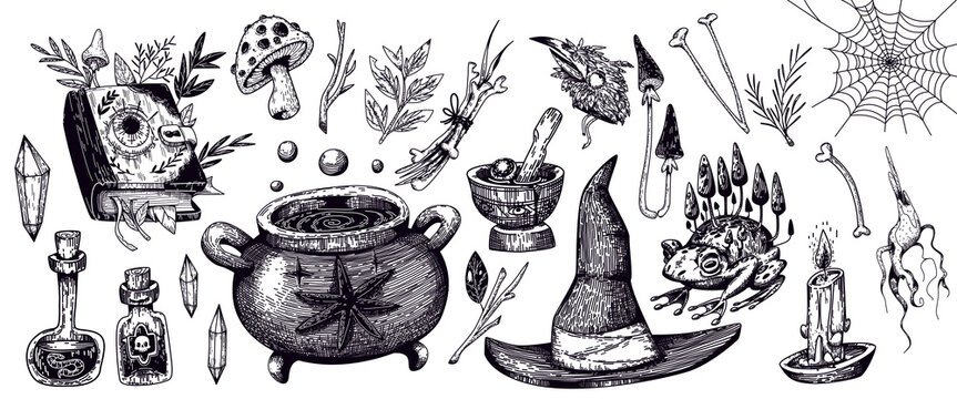 Witchcraft sketch icons set with magic cauldron, witch hat and spell book. Vector illustration of spooky Halloween items, potion bottles, mushrooms, apothecary plants, occult symbols, tattoo designs