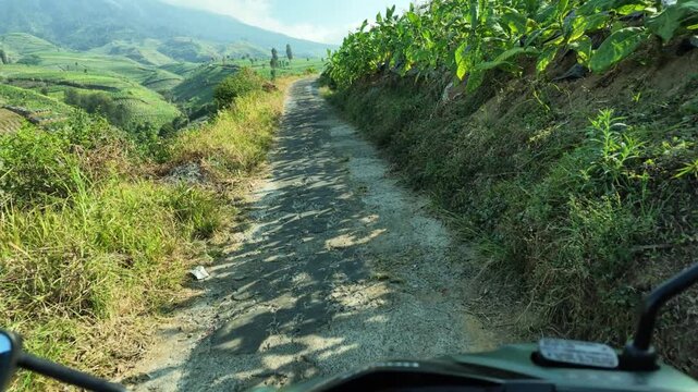 Winding rural road through green mountain farms.