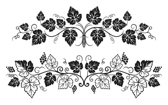 Elegant black and white grapevine leaf decorative border design pattern