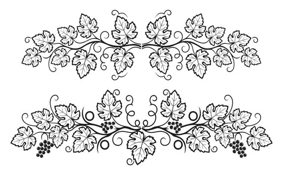 Elegant grapevine leaves and clusters decorative illustration design pattern