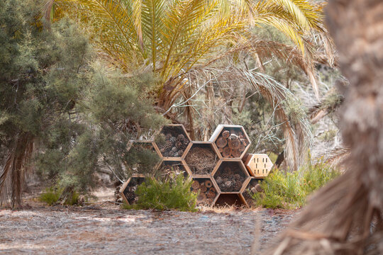 Ein modulares sechseckiges Insektenhotel im Waben - Design