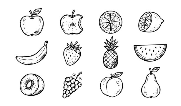 Hand Drawn Fruit Doodle Collection Vector Illustration