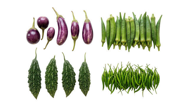 Fresh purple eggplants green okra bitter gourd and chili peppers arranged in groups on a clean surface for healthy cooking