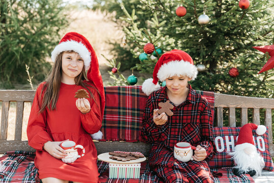 Christmas in July with happy children enjoying gingerbread cookies and hot cocoa outdoors, wearing Santa hats beside decorated Christmas tree in sunny summer garden.