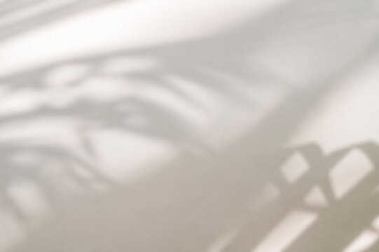 Tropical Plant Leaf Shadow Draped on Off-White Studio Backdrop.
