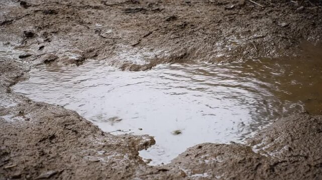 Close-up of muddy ground with a puddle of water.