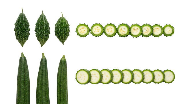 Fresh bitter melon and cucumber vegetables whole and sliced in rows