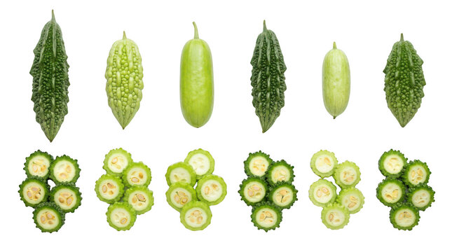 Fresh bitter melon vegetables and sliced pieces arranged in rows for healthy cooking and nutrition concepts