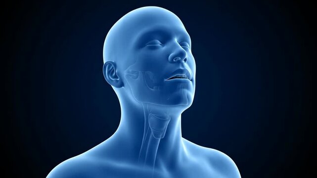 Male human head 3d medical yawning animation for study