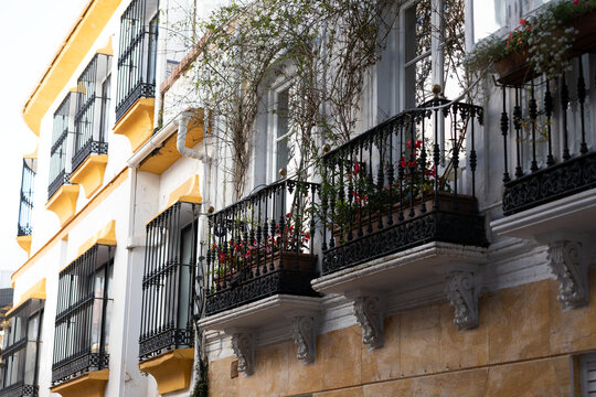 Traditional Wrought Iron Balconies with Flowers in Malaga, Spain