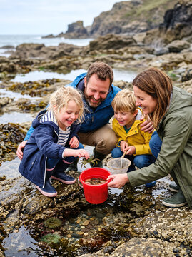 Joyful family rockpooling together by the sea and catching a crab in a bucket