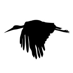 Naklejka premium Black Silhouette Flying Stork, Bird Illustration