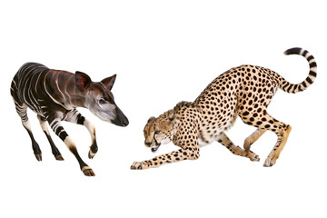 Naklejka premium Okapi and Cheetah Animal Pair