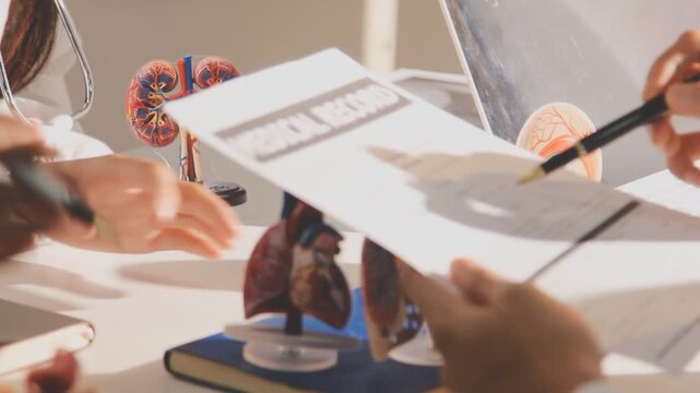 Doctor holding and pointing to an anatomical model of human lungs in a clinical office setting
