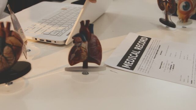Doctor holding and pointing to an anatomical model of human lungs in a clinical office setting