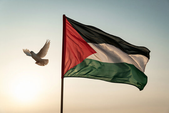 Palestinian flag waving in golden sunset light with a flying dove