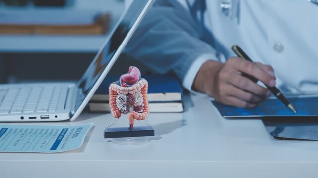 Doctor holding and pointing to an anatomical model of human lungs in a clinical office setting