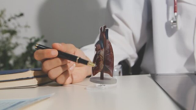 Doctor holding and pointing to an anatomical model of human lungs in a clinical office setting