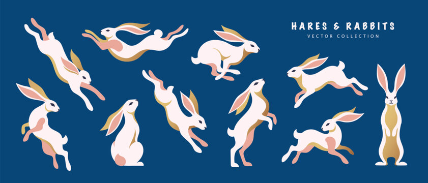Set of elegant hares and rabbits in dynamic poses. Minimalist flat style on dark blue background. Ideal for Mid-Autumn Festival, Moon Rabbit concept, Easter and nature designs, vector illustration.