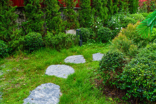 Garden landscape design with pathway in garden and footpath in picturesque summer park and staircase in backyard,Paving stones on floor in park,space for text.