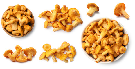 Fresh chanterelle mushrooms isolated on white, set © New Africa