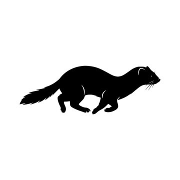 Ferret silhouette vector illustration