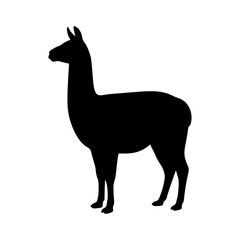 Standing llama silhouette animal vector illustration © Md CF ID #17860857