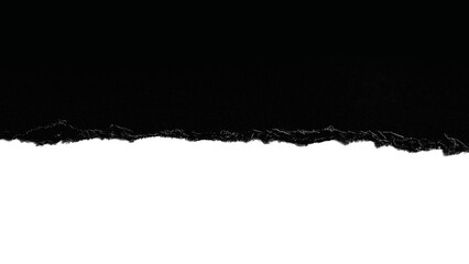 Fototapeta premium Torn Paper Edge Texture PNG with Transparent Background