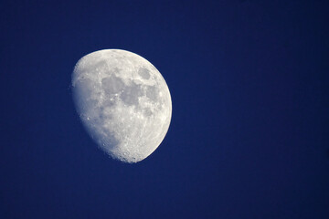 Crisp moon glows against deep indigo sky. Moon phases shift, revealing craters and valleys. Celestial body floats, serene and timeless. Perfect for calm, contemplative, or night-themed visuals © Mark