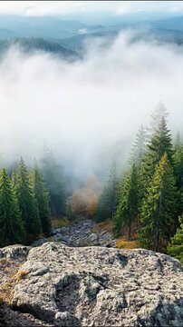 Misty mountain valley landscape motion footage showing dense fog rolling over coniferous forest tree canopy tops.