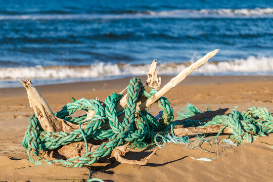 Driftwood tangled with marine rope on sandy beach shoreline